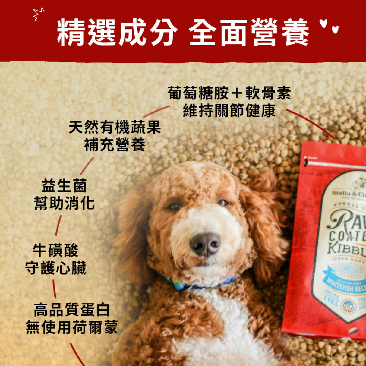 SC星益生趣 Stella & Chewy's 凍乾塗層無穀犬糧3.5磅｜生鮮白魚