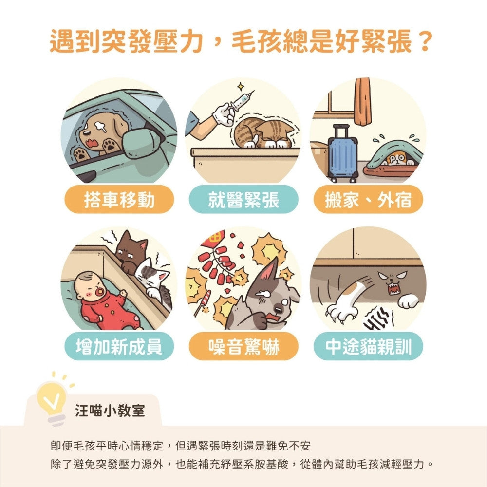 DogCatStar 汪喵星球 天然低敏凍乾主食餐 安心雞 / 草飼牛 80g