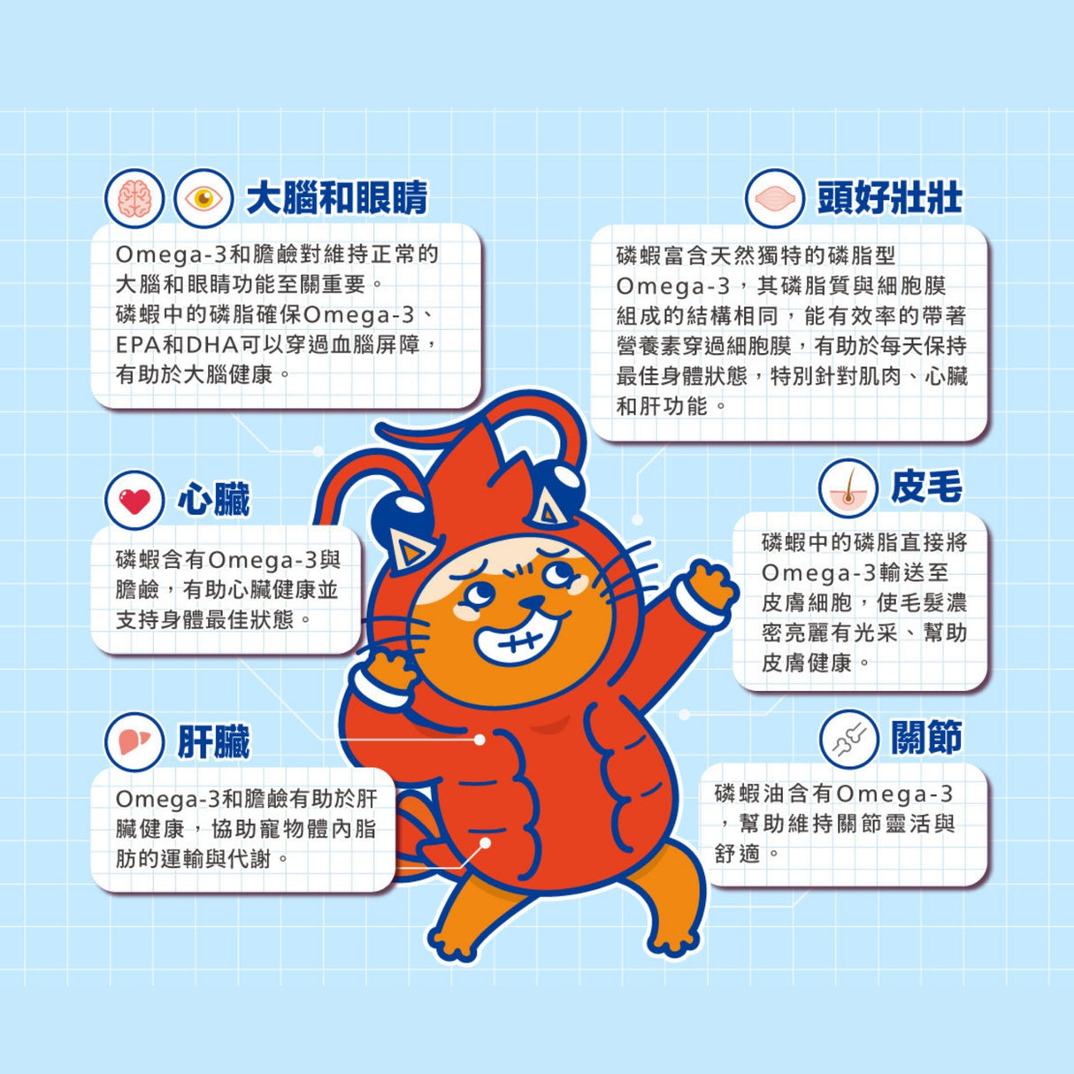 肉球世界 補水炸彈主食餐包 貓主食餐包 45g |  AAFCO標準 全齡貓