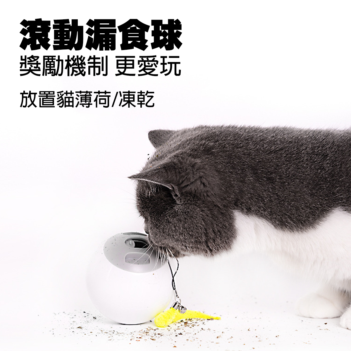 AIWO艾窩 自動遛貓紅點漏食滾動球 寵物智能滾滾球  USB充電 自動逗貓球 智能逗貓球 漏食球