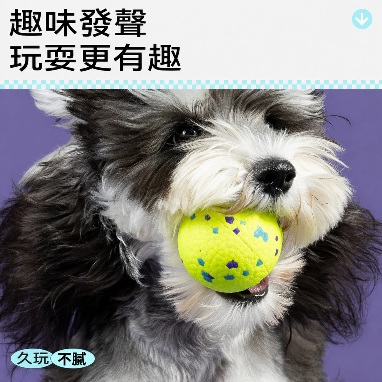 QMONSTER ETPU發聲球 發聲彈力耐咬磨牙浮水狗玩具