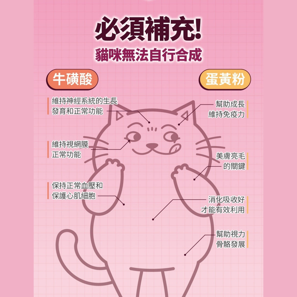 肉球世界 南極磷蝦美毛包 貓主食餐包 45g | AAFCO標準 皮毛護理 皮膚敏感 換季困擾