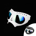 面罩眼鏡 (附眼鏡盒) 白 / S