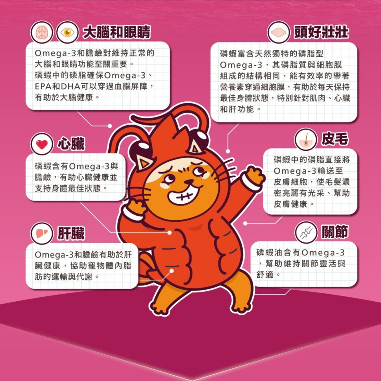 肉球世界 南極磷蝦美毛包 貓主食餐包 45g | AAFCO標準 皮毛護理 皮膚敏感 換季困擾