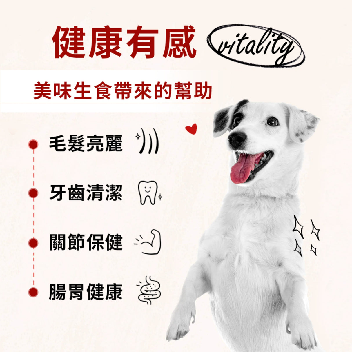 SC星益生趣 Stella & Chewy's 凍乾塗層無穀犬糧3.5磅｜生鮮白魚