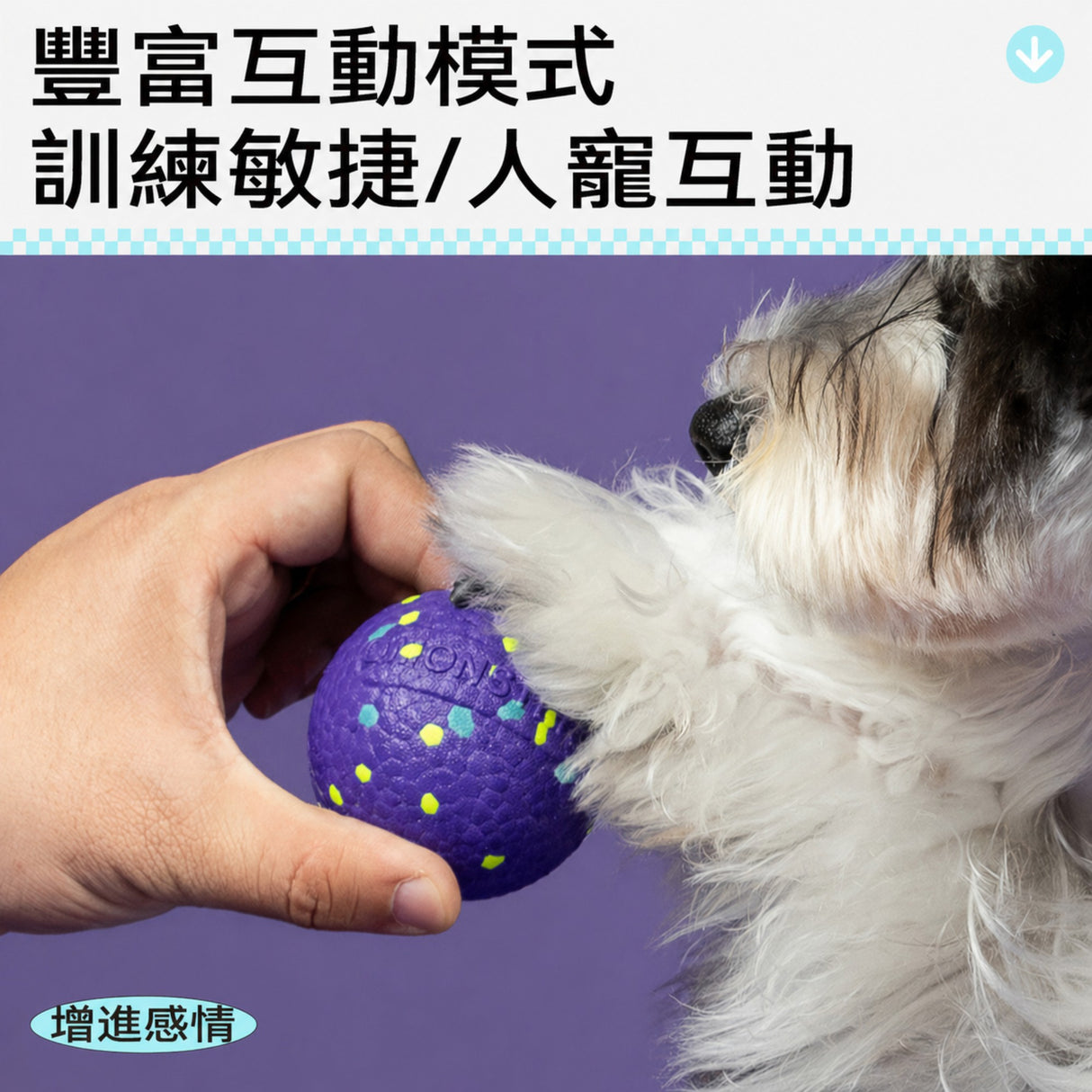 QMONSTER ETPU發聲球 發聲彈力耐咬磨牙浮水狗玩具