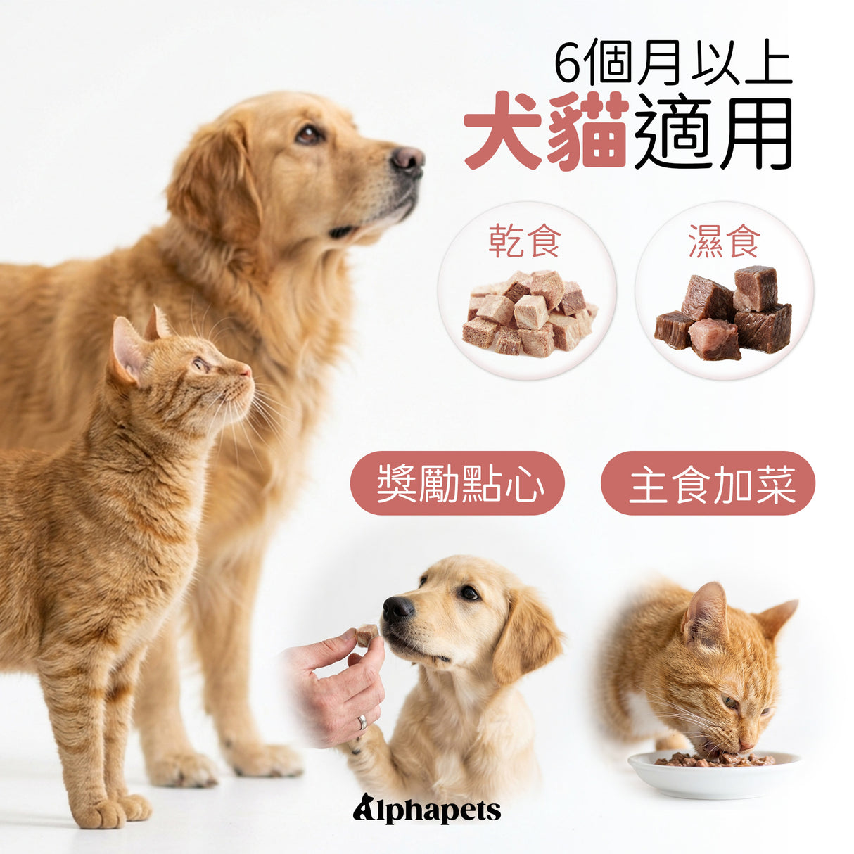 ALPHA 生凍乾 | 雞蛋黃. 骰子牛. 虱目魚柳. 丁香魚. 雞胸肉丁