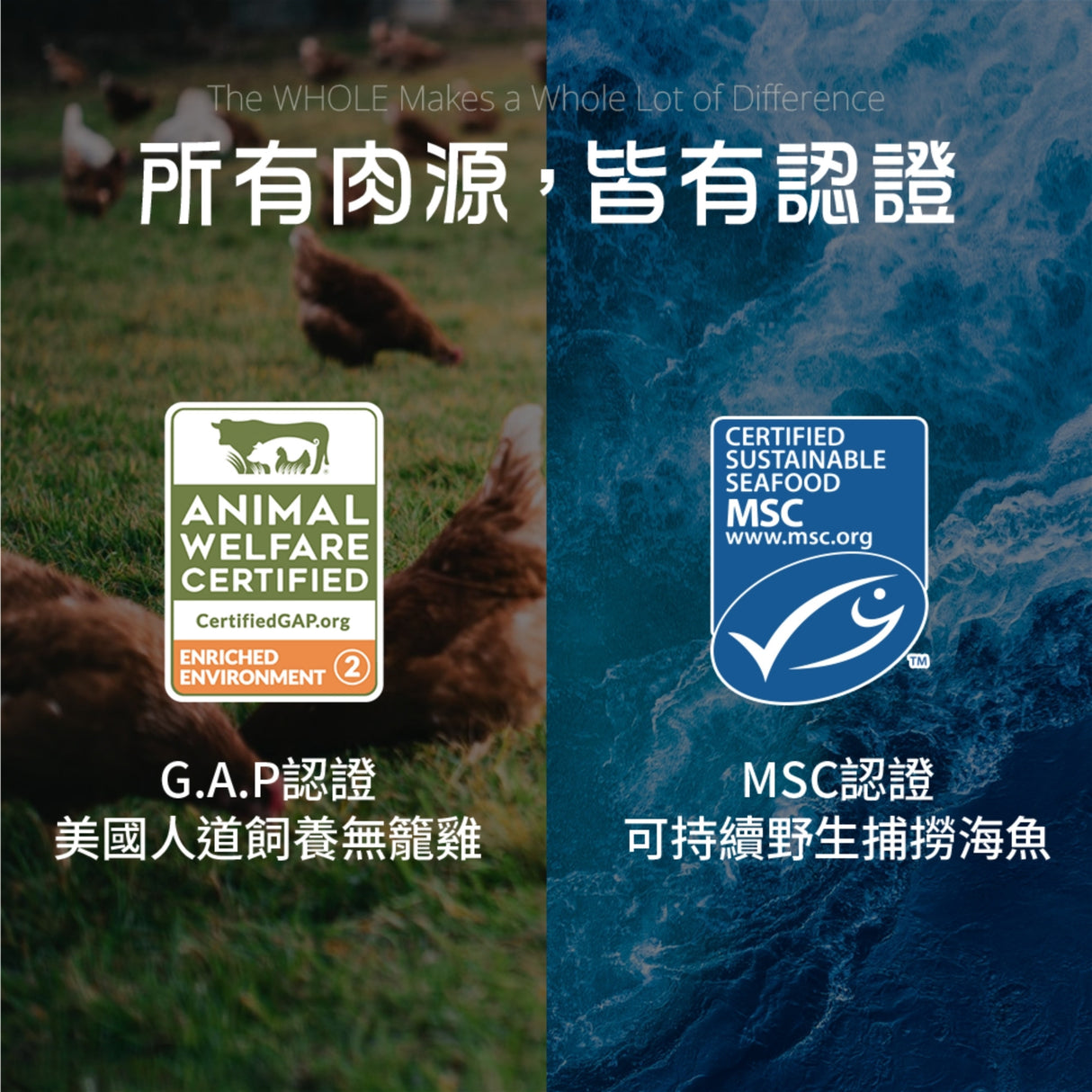 Halo嘿囉 無穀幼貓、成貓貓糧 300g 3磅 6磅 10磅 無穀雞肉 無榖野生鮭魚燉白魚