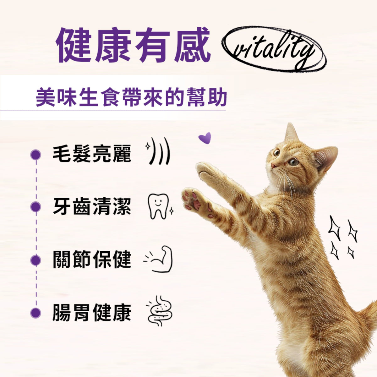 SC星益生趣 Stella & Chewy's 凍乾無穀貓糧2.5磅｜生鮮鮭魚／三種魚