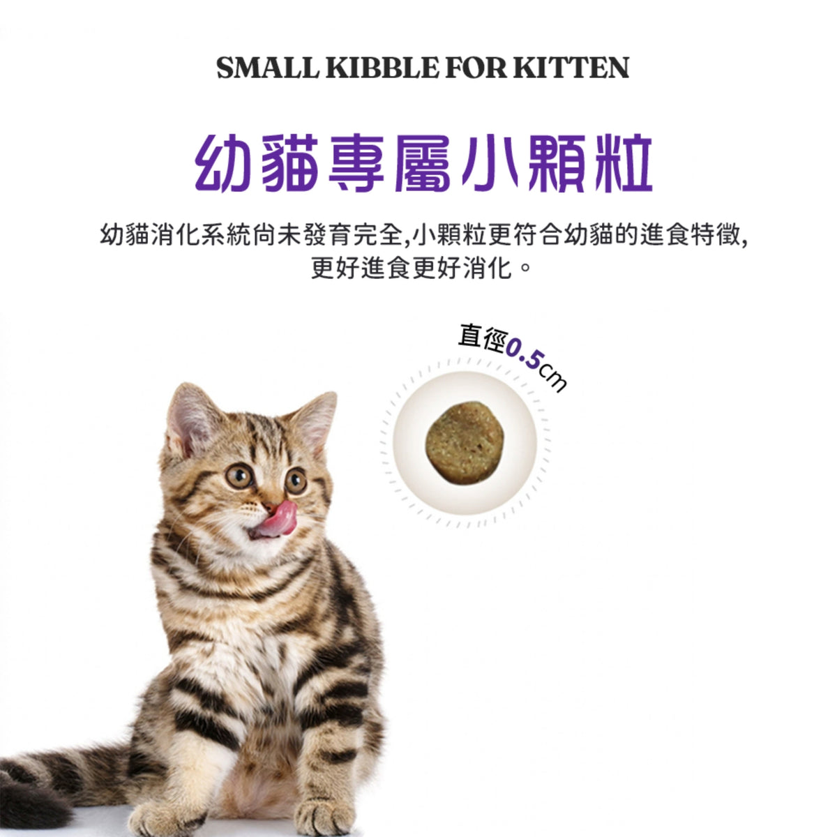 Halo嘿囉 無穀幼貓、成貓貓糧 300g 3磅 6磅 10磅 無穀雞肉 無榖野生鮭魚燉白魚