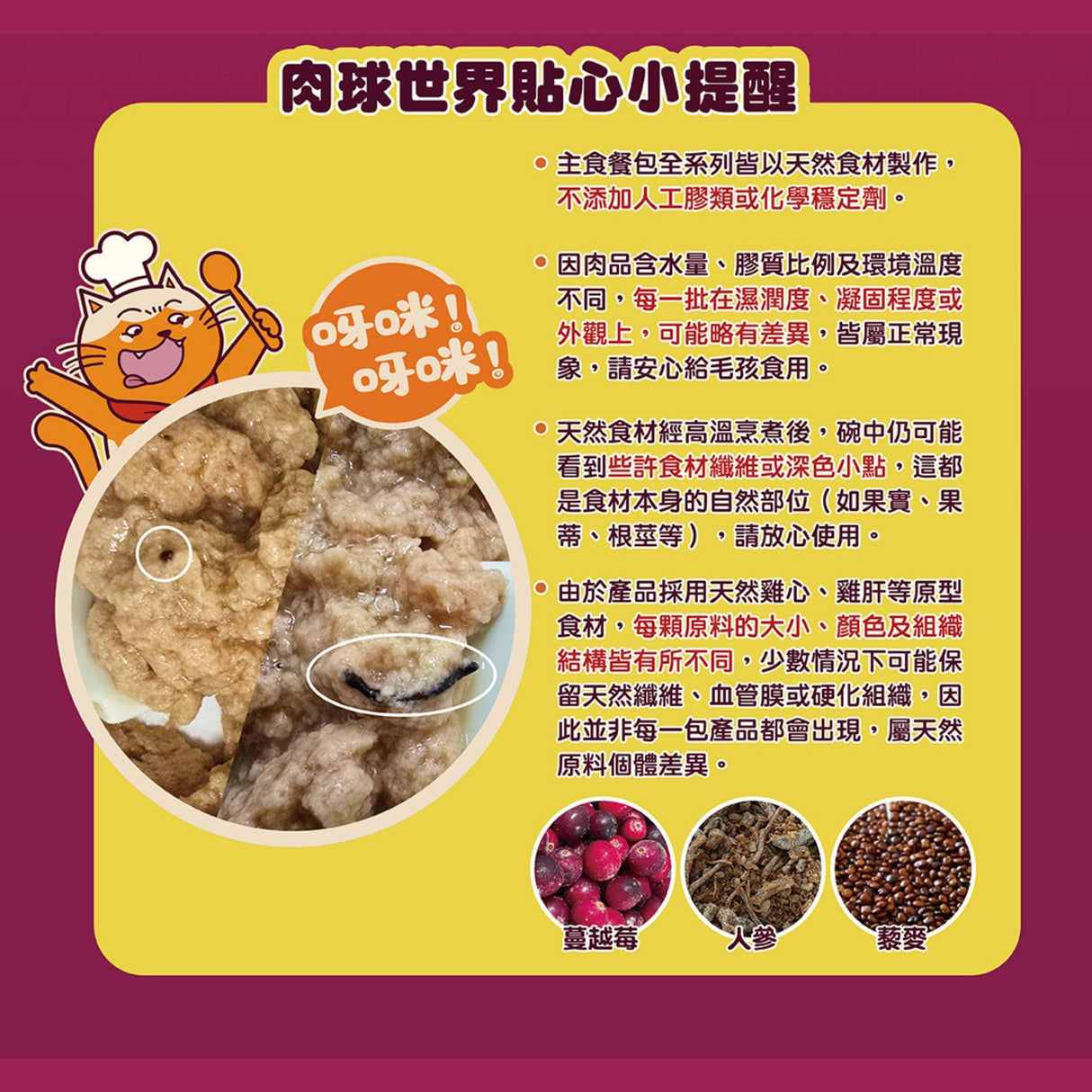 肉球世界 南極磷蝦美毛包 貓主食餐包 45g | AAFCO標準 皮毛護理 皮膚敏感 換季困擾