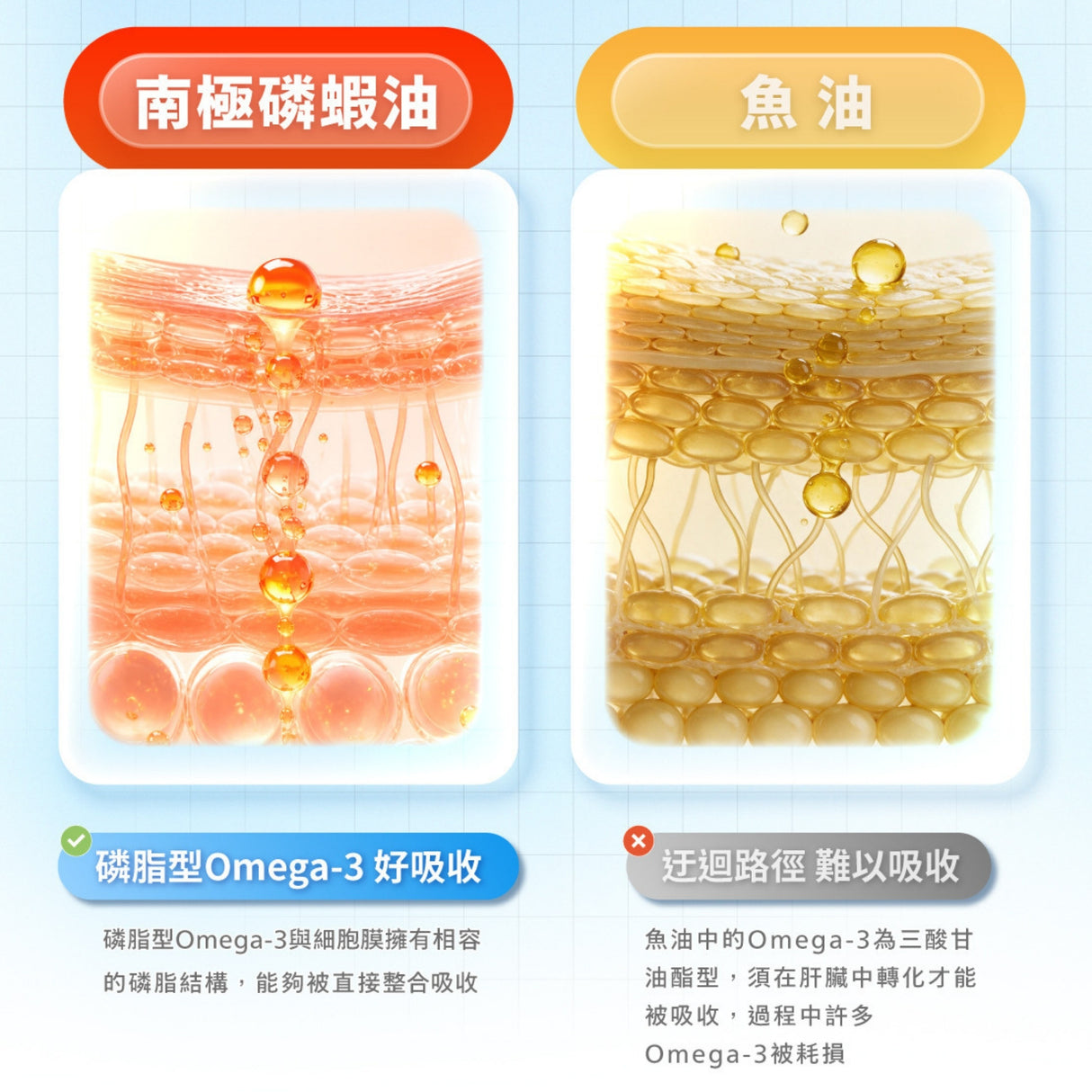肉球世界 南極磷蝦油 貓用 15ml | 頂級保養 皮毛護理 關節護理 眼睛護理 磷蝦油 OMEGA-3
