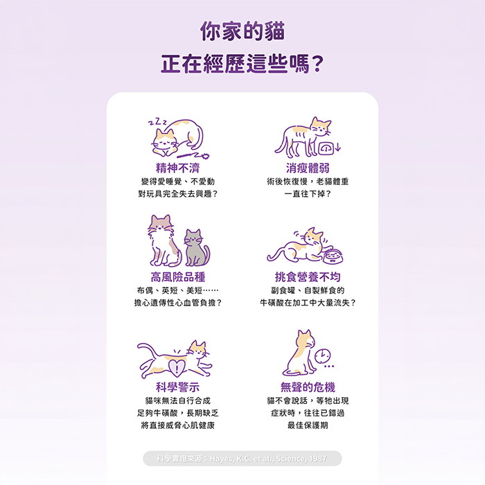 沛漾 PetAg 貓用即刻保健膏 100g｜牛磺酸・維生素・礦物質營養補充