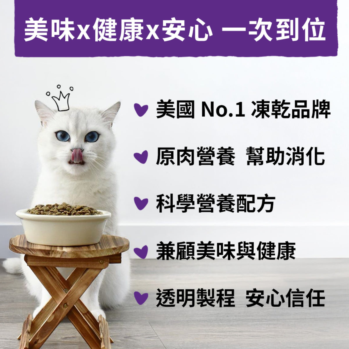 SC星益生趣 Stella & Chewy's 凍乾無穀貓糧2.5磅｜生鮮鮭魚／三種魚