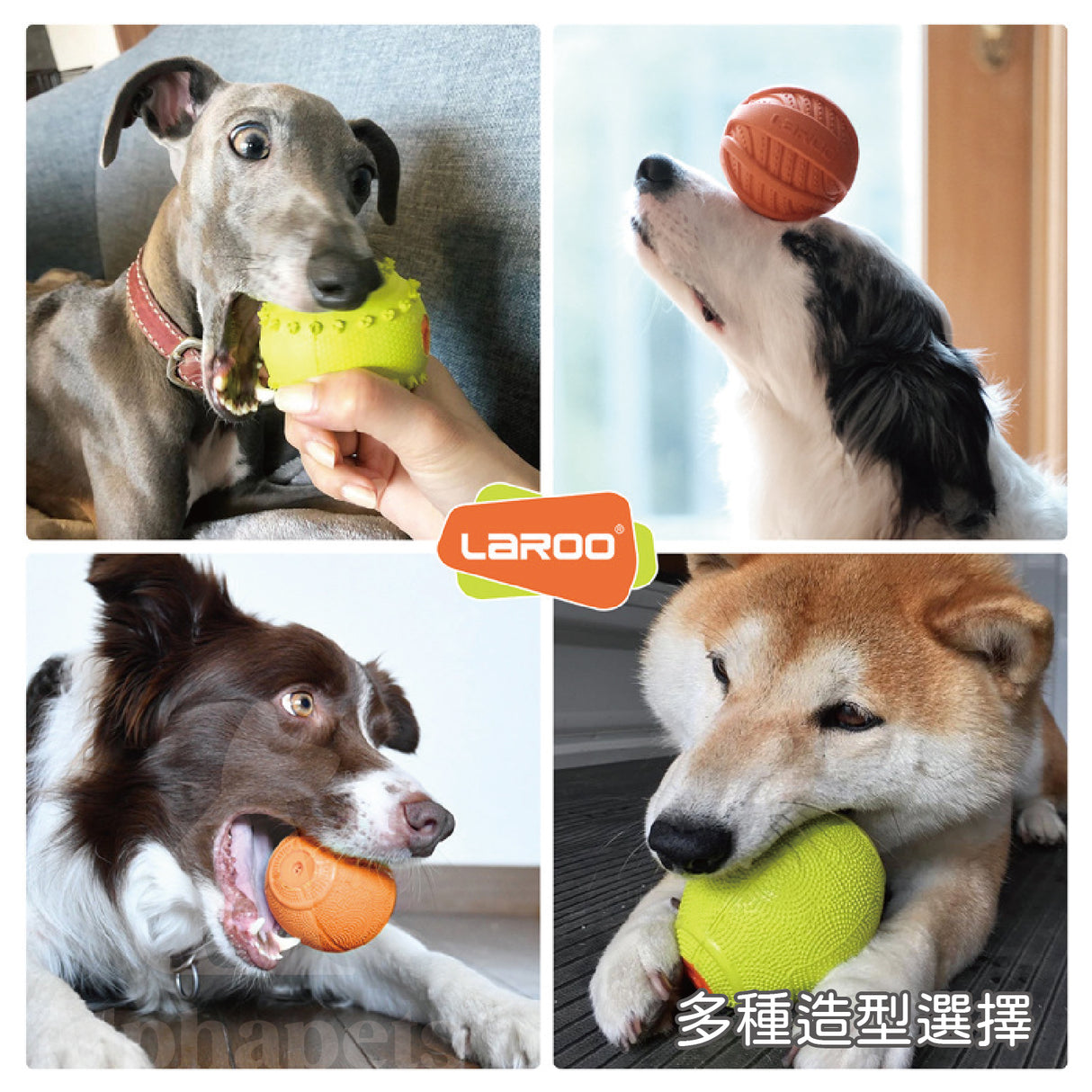 LaRoo萊諾 發聲核桃球  橡膠玩具 狗狗玩具