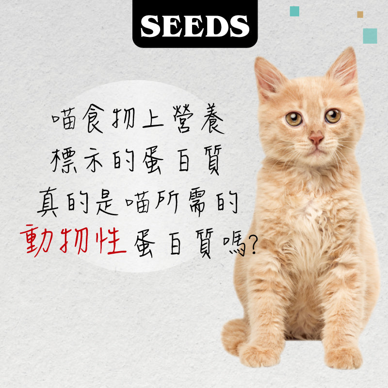 SEEDS 惜時 MamaMia 純白肉貓餐罐 85g