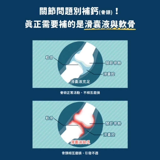 DogCatStar 汪喵星球 UCII 關節保養粉 (日常保養配方)  35顆/瓶