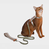 HiDREAM 貓咪條紋胸背牽繩套組 寵物牽繩 胸背帶