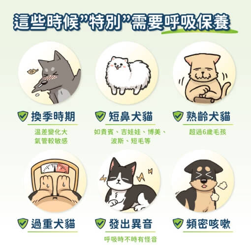 DogCatStar 汪喵星球 呼吸道保健 2g (1條)