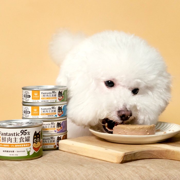 DogCatStar汪喵星球 犬用Fantastic 95%鮮肉無膠主食罐 85 / 165g x 12 / 24罐/箱