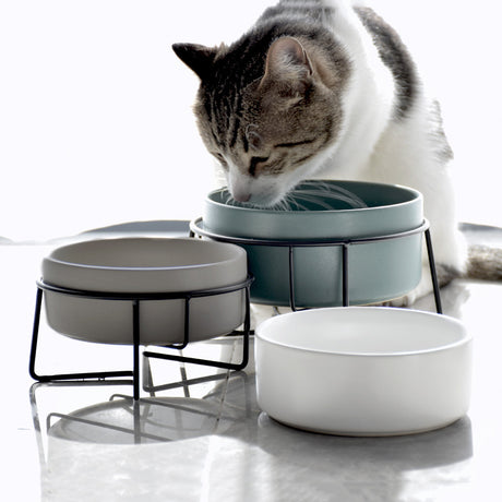 黑鐵架陶瓷寵物碗 護頸寵物碗 6色 2種尺寸