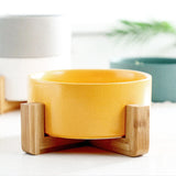 CARNO卡諾 北歐風格 寵物陶瓷碗架組