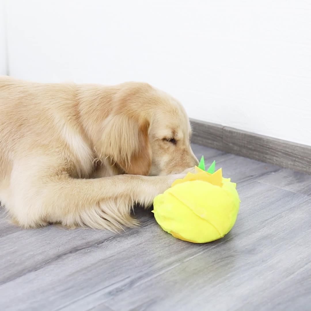 DogLemi多樂米 鳳梨造型寵物嗅聞玩具