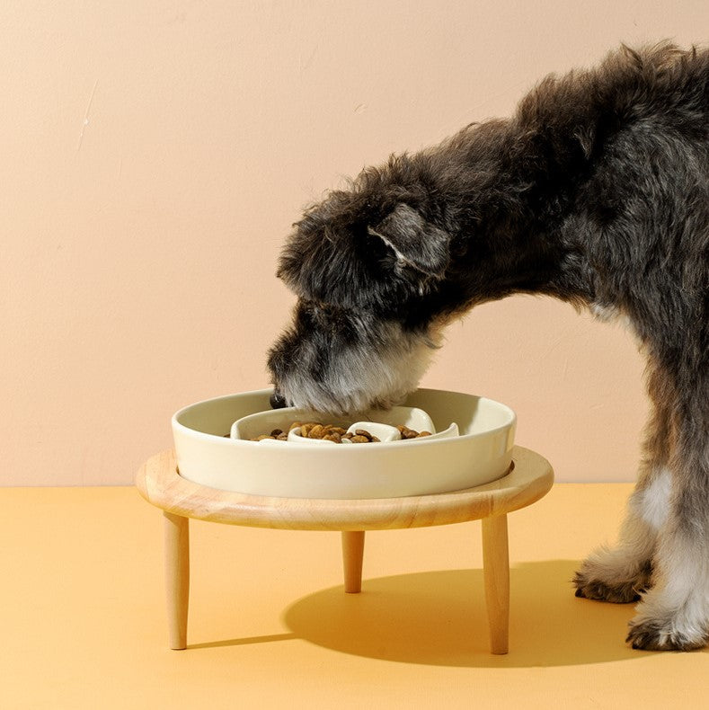 寵物防噎慢食碗 單碗 慢食碗