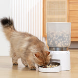 AIWO艾窩 時光沙漏寵物自動餵食器 寵物碗 貓碗 狗碗 寵物餵食器 自動餵食器