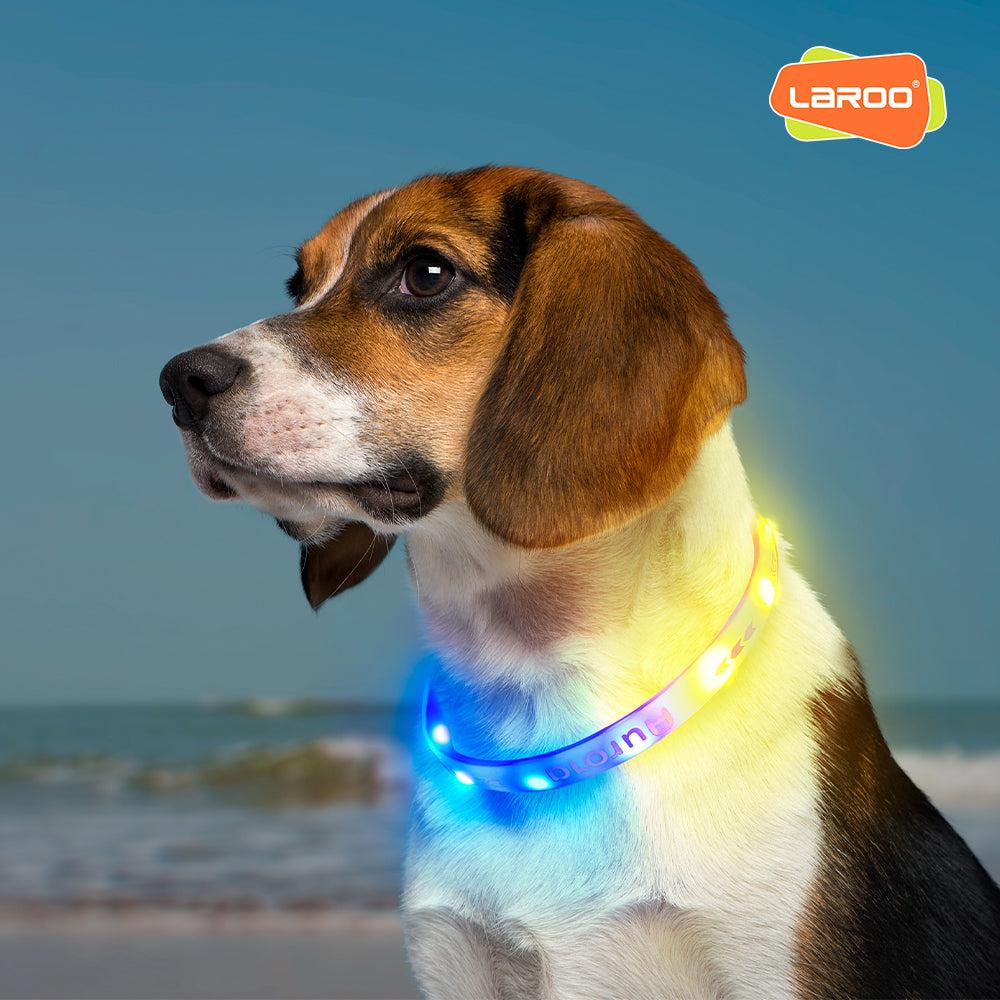 LaRoo萊諾 極光發光圈 寵物發光項圈 防水 可充電