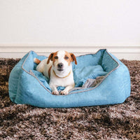 DOGSONG 頂級可全拆寵物睡墊 寵物床