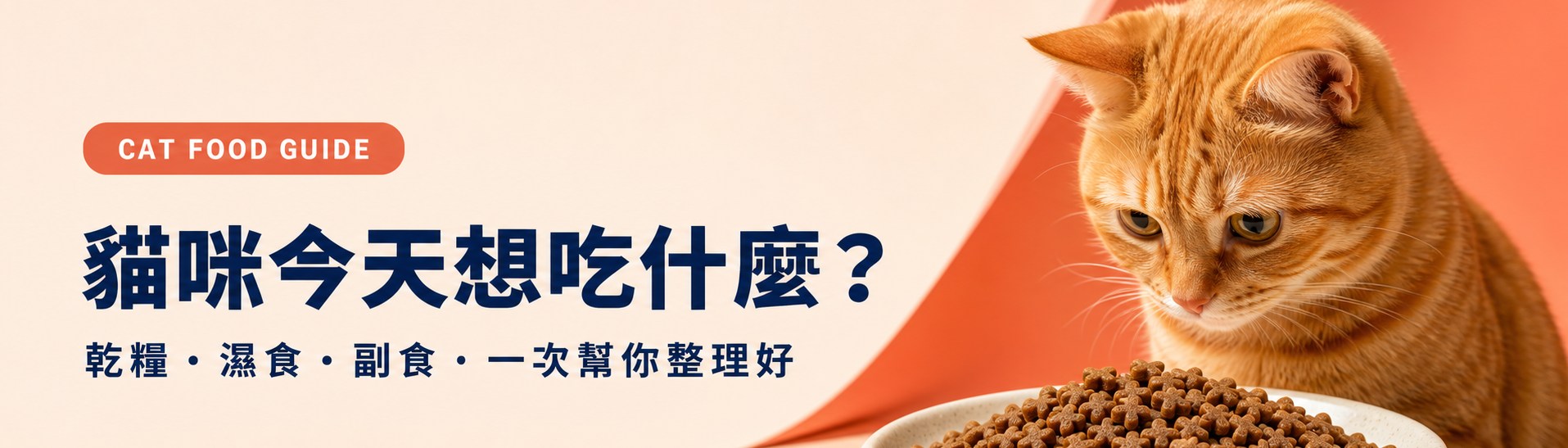 貓咪今天想吃什麼？乾糧、濕食、副食，一次幫你整理好